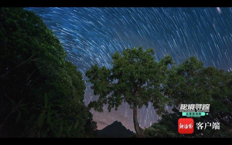 回升！重磅数据来了